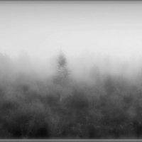 Туман :: Михаил Цегалко