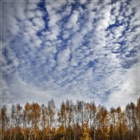 Осень :: Владимир Белозеров