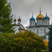 Новоспасский монастырь :: Лариса *