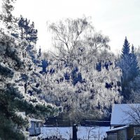 Зима :: Игорь Смолин