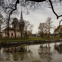 Графика осени :: Ольга Лиманская