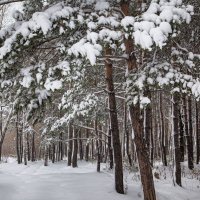 28 октября. г.Новокузнецк 2016г :: Павел Сухоребриков