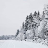 Зимняя пора :: Дарья Семёнова