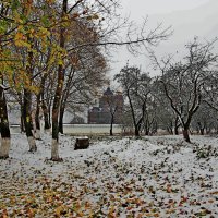 Свенский монастырь на фоне монастырского сада :: Дубовцев Евгений 