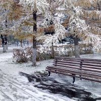 Первый снег :: Александр Алексеев