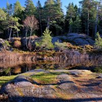 Природа Швеции :: wea *