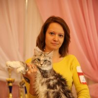 Выставка кошек :: Игорь Смолин