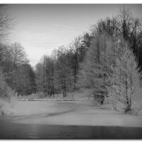 Зима :: Михаил Цегалко