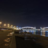 Мост Петра Великого :: Наталья Василькова