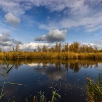 Листья закружат... :: Павел Тодоров