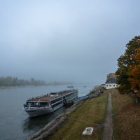 Туман над Рейном, Дюссельдорф :: Witalij Loewin