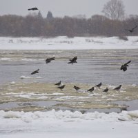 Прокатимся напоследок! :: Андрей Синицын