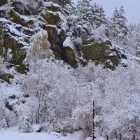 Снег, горы, лес :: Tatiana Lesnykh Лесных