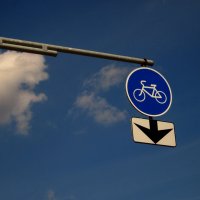 Дорогу велосипедам! :: Павел Зюзин