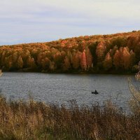 Осенний рыбак :: Сергей Жуков