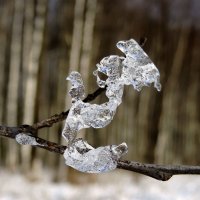 Мэри Поппинс :: Елена Якушина