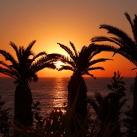 Закат на Кипре :: Елена Елена