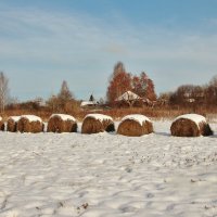 Зимним холодом пахнуло. :: Галина .