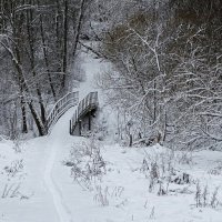 Снежный ноябрь :: Милешкин Владимир Алексеевич 