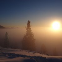Зимний туман :: Геннадий Г.