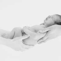 Newborn :: dasik tarasova