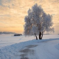 ... :: Евгений Никифоров