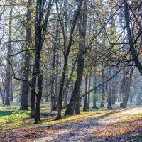 Вспомним немного осень :: Алёнка Шапран