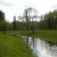 Павловск весной. :: Лариса (Phinikia) Двойникова