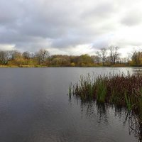 Чистый пруд и побережье в ноябре :: Маргарита Батырева