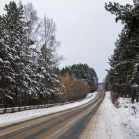 Дорога в зимний лес... :: Лариса Рыбакова