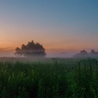 Туманный рассвет :: Александр Березуцкий (nevant60)