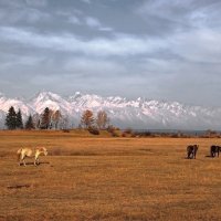 Хорошо погулять на просторе... :: Александр Попов