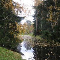 Осень в Павловске. :: Лариса (Phinikia) Двойникова