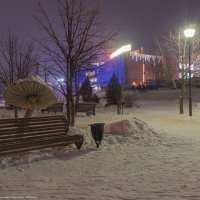 В зимнем парке. :: Виктор Евстратов