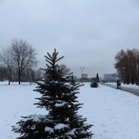 Вы не любите зиму? Почему??? :: Андрей Лукьянов