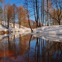 Речка Гусь :: Валерий Толмачев