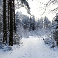 Начало зимы :: Милешкин Владимир Алексеевич 