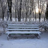 В Калининград ненадолго заглянула зима :: Маргарита Батырева