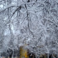 Снежные узоры :: Елена Семигина
