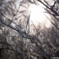 Зима, холода :: Lana Kasiková