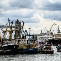 Как  английские рыбаки перекрыли Темзу и протестовали против ЕС :: Antonina Burton