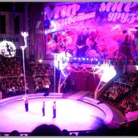 Программа для детей "Мир животных – мир друзей" в Луганском государственном цирке :: Наталья (ShadeNataly) Мельник