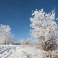 Зимний пейзаж :: Анатолий Иргл