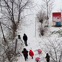 Наконец-то снег :: Валерий Дворников