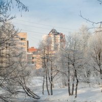 Зимний пригород 11 :: Виталий 
