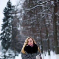 снежный день :: Татьяна Михайлова