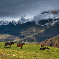 Солнечная лужайка :: Иван 