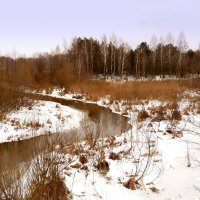 незамерзшая речка :: Александр Прокудин