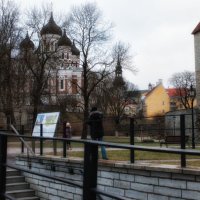 Таллин декабрь 2016 :: Евгения К