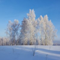 солнечный денёк :: Николай Мальцев